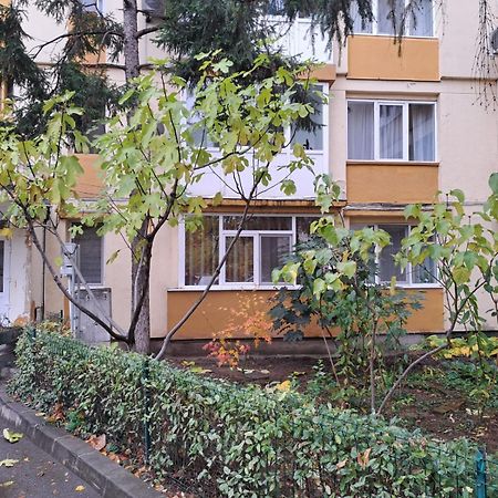 Mia Apartments Craiova Kültér fotó
