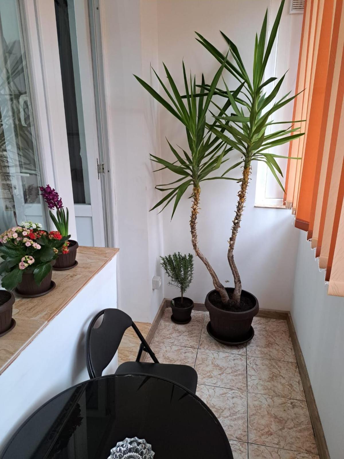 Mia Apartments Craiova Kültér fotó